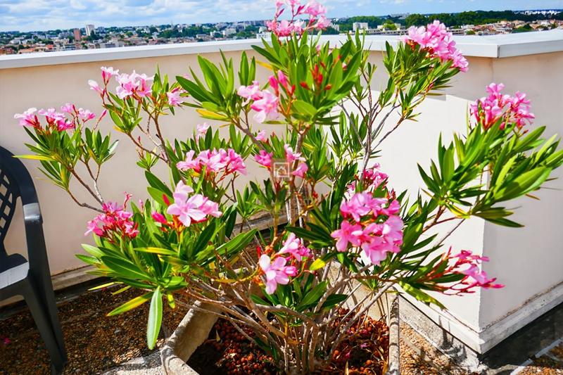 Appartement - 93 m² - 4 pièces