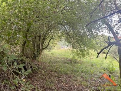 Maison - 74 m² - 3 pièces