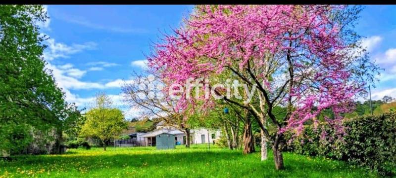 Maison en pierre - 125 m² - 6 pièces