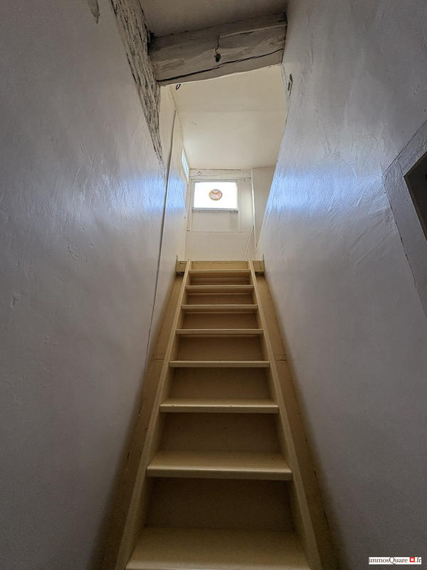 Appartement - 54 m² - 2 pièces