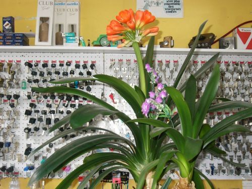 Hotida Pressing Retouche Cordonnerie