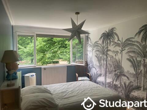 Chambre - 12 m² - 1 pièce