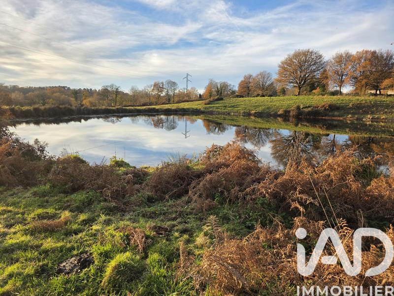 Terrain - 41 275 m²