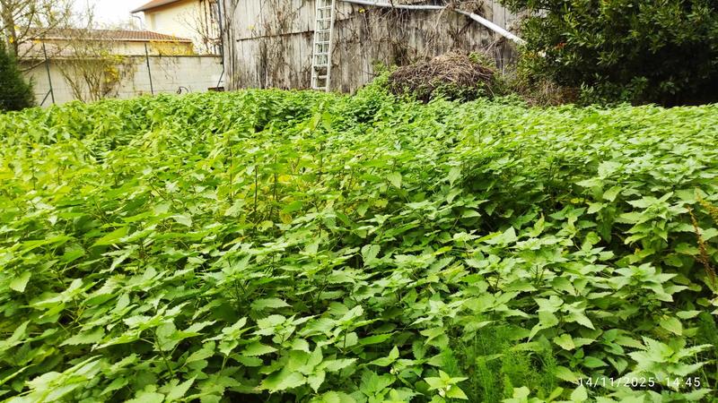 Maison de village - 160 m² - 7 pièces