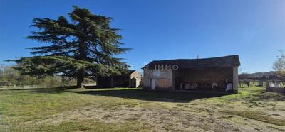 Maison de maîtres - 220 m² - 10 pièces