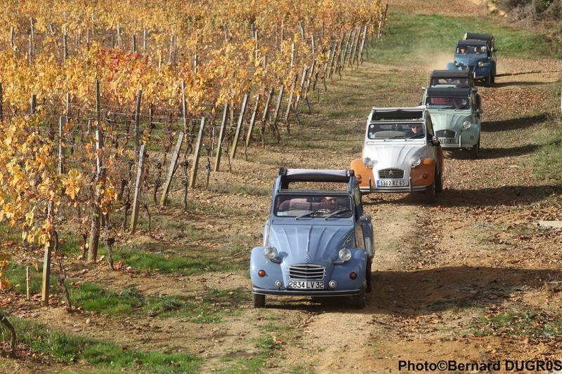 Portes Ouvertes en Madiran et Pacherenc du Vic-Bilh