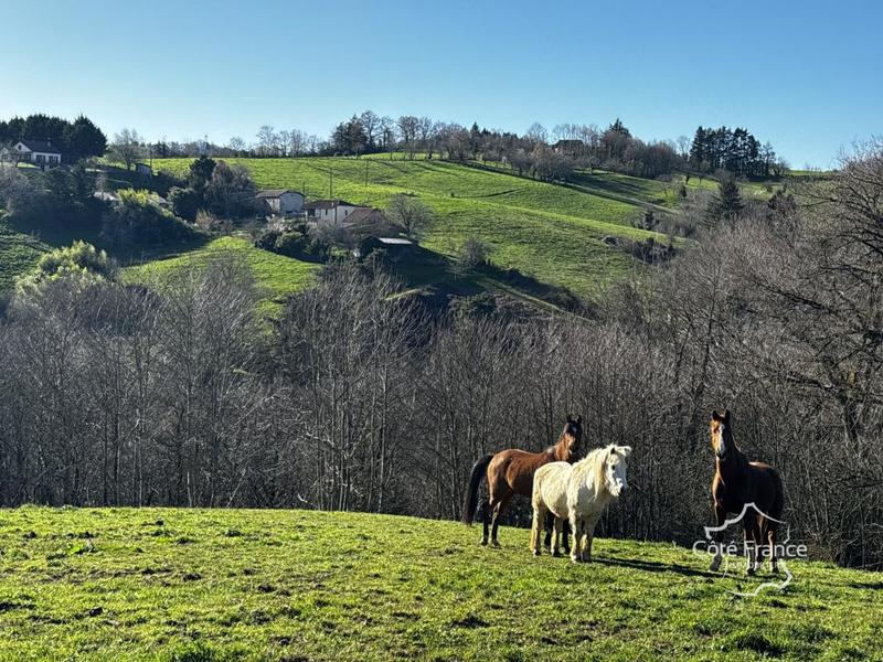 Corps de ferme - 130 m² - 6 pièces