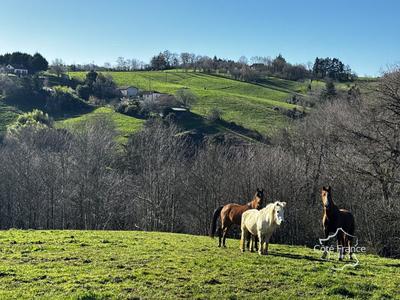 Corps de ferme - 130 m² - 6 pièces