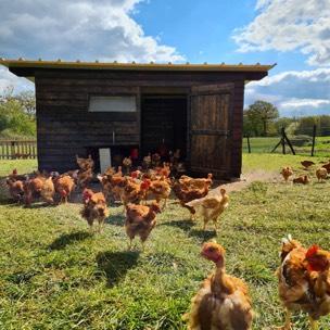 La Ferme Biologique du Grand Bois