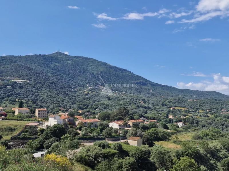 Appartement - 89 m² - 4 pièces