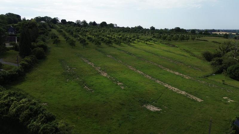 Terrain constructible - 442 m²