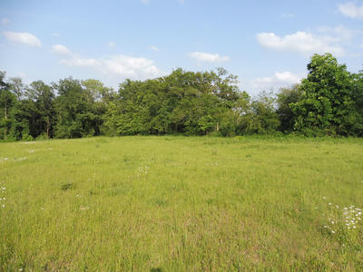 Terrain - 6 177 m²
