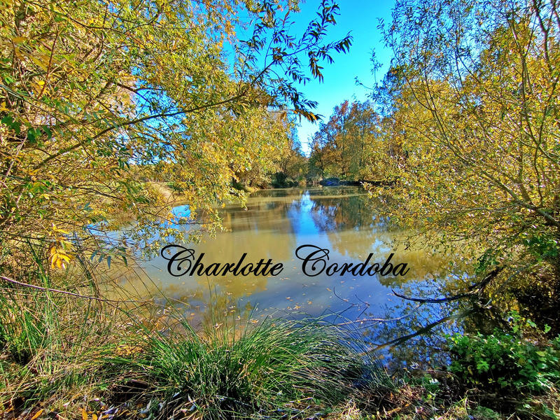 Maison - 146 m² - 5 pièces