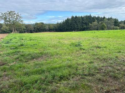 Terrain constructible - 1 009 m²