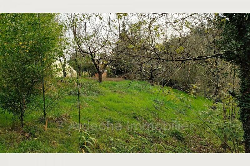 Maison en pierre - 145 m² - 5 pièces