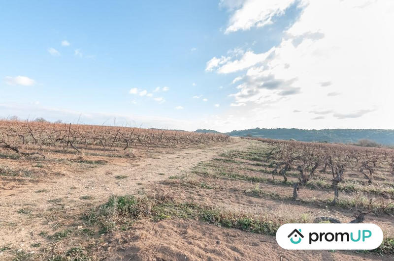 Terrain agricole - 57 000 m²