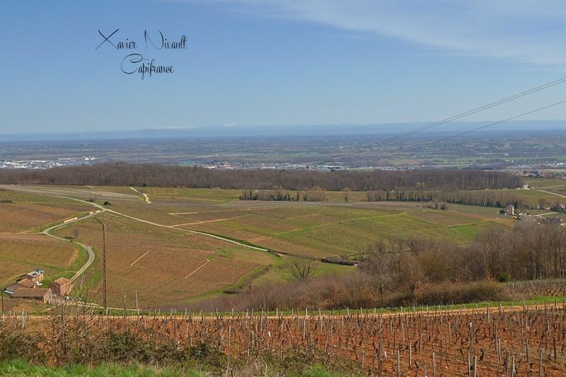 Maison - 153 m² - 5 pièces