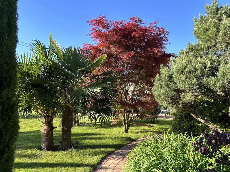 Maison - 226 m² - 7 pièces