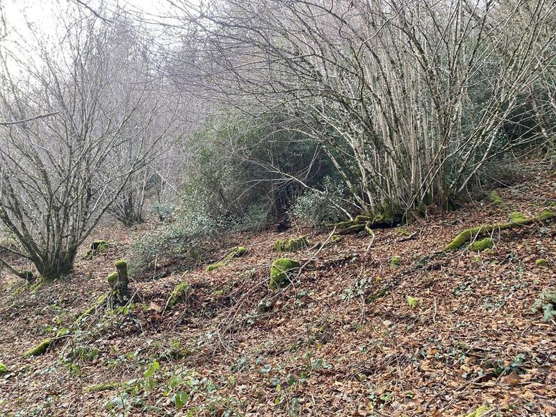 Maison ancienne - 151 m² - 6 pièces