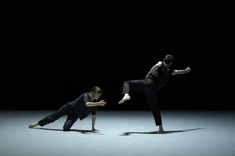 &quot;À l'ombre d'un vaste détail, hors tempête.&quot; Christian Rizzo - l'association fragile