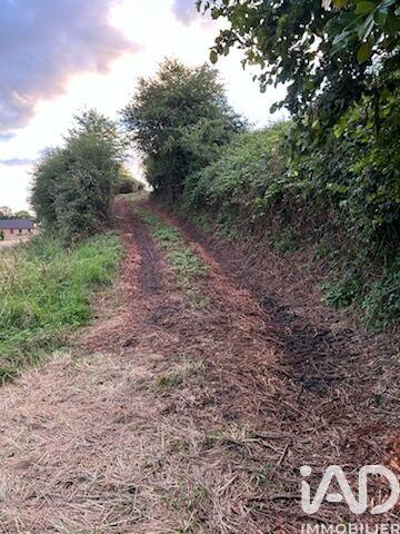 Terrain - 13 549 m²