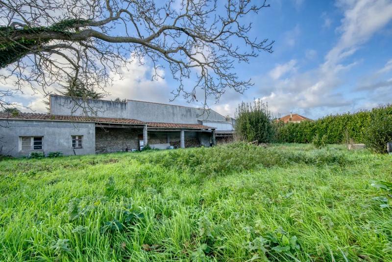 Château - 100 m² - 4 pièces