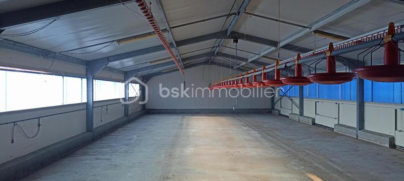 Propriété - 160 m² - 6 pièces