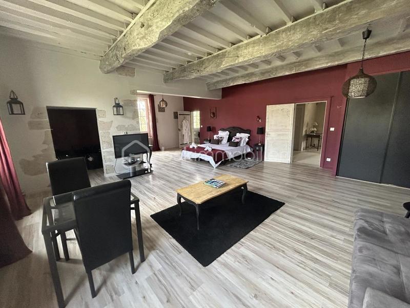 Château - 897 m² - 16 pièces