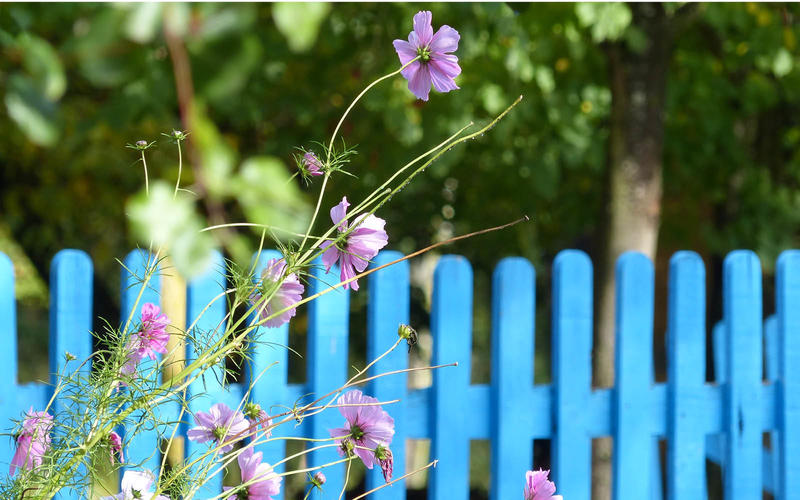Rendez-vous nature : à la découverte de la nature