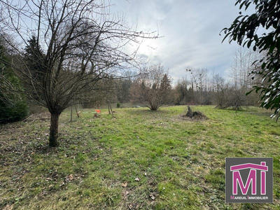 Terrain de loisirs - 10 156 m²