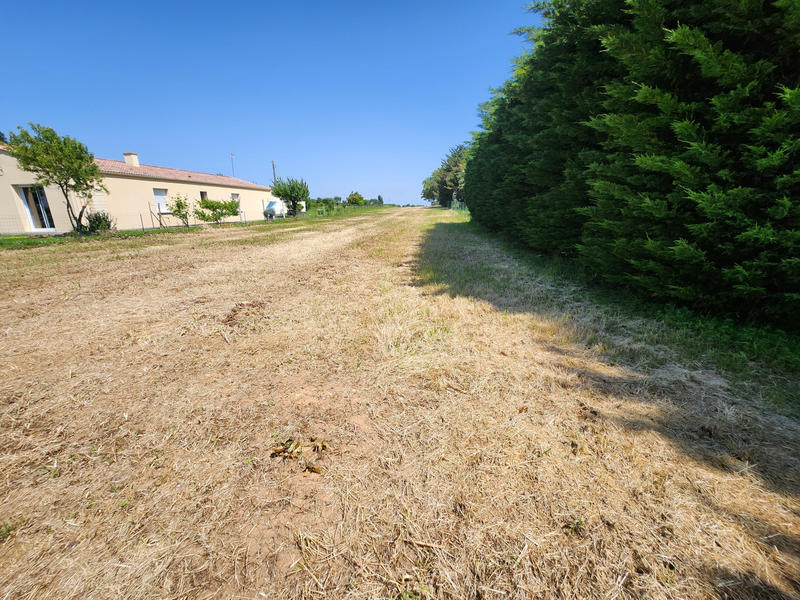 Terrain - 1 717 m²