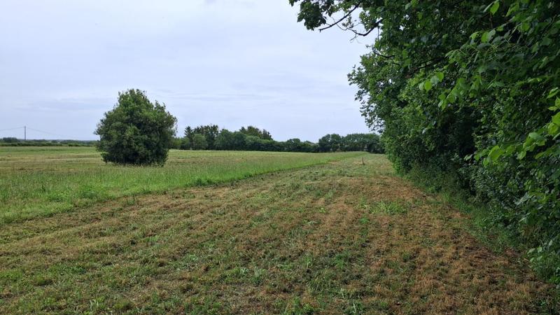 Maison - 65 m² - 3 pièces