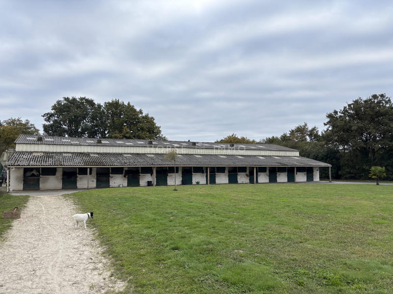 Immeuble - 50 000 m²