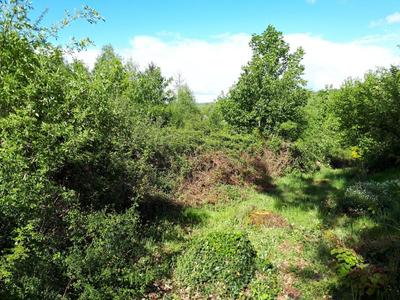 Terrain constructible - 1 609 m²