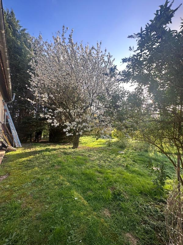 Maison - 215 m² - 10 pièces