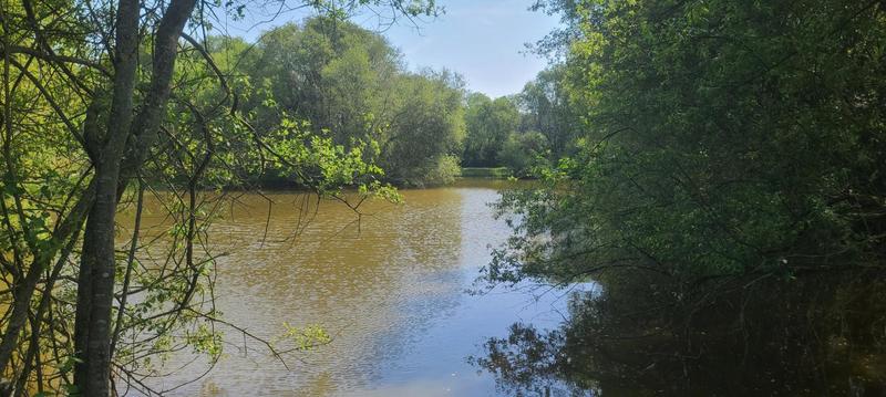 Propriété - 320 m² - 13 pièces