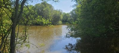 Propriété - 320 m² - 13 pièces