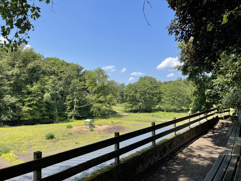 Propriété - 530 m² - 25 pièces