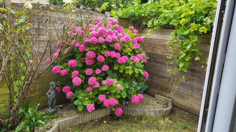 Maison ancienne - 72 m² - 4 pièces