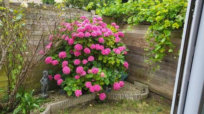 Maison ancienne - 72 m² - 4 pièces