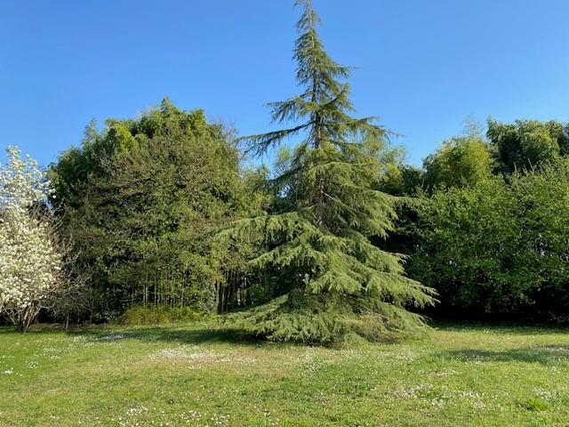 Terrain constructible - 610 m²