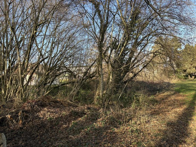 Terrain constructible - 968 m²