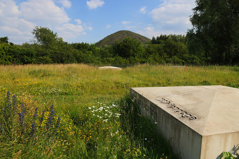 Terril du Pays à Part et Terril des Falandes - la nature à l'accent minier
