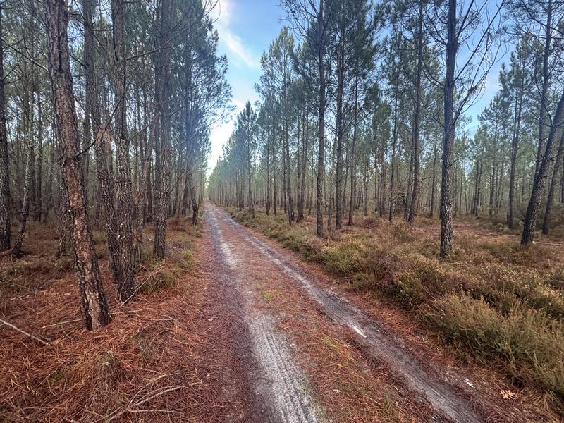 Terrain - 40 400 m²