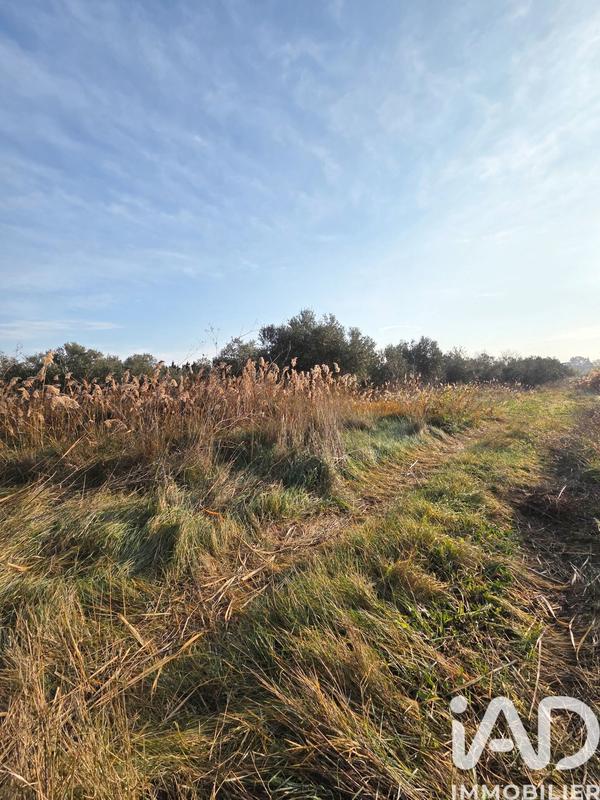 Terrain agricole - 5 801 m²