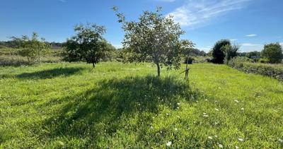 Terrain constructible - 1 221 m²