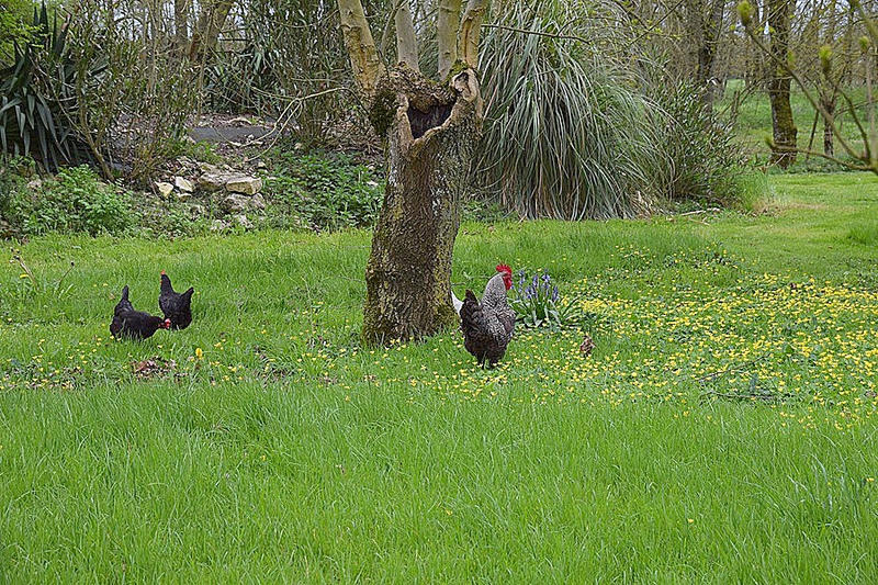 Maison - 188 m² - 7 pièces