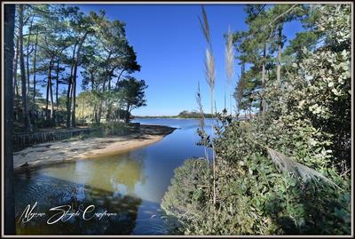 Appartement - 57 m² - 4 pièces