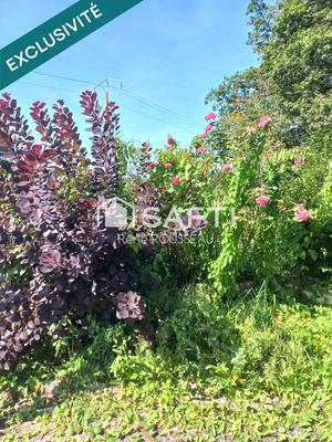 Maison - 95 000 m² - 6 pièces