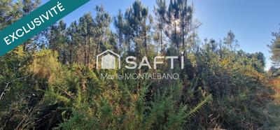 Terrain - 59 300 m²